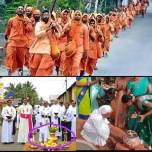 भेड़ की खाल में भेड़िया