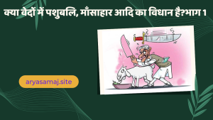 क्या वेदों में पशुबलि, माँसाहार आदि का विधान है?भाग 1
