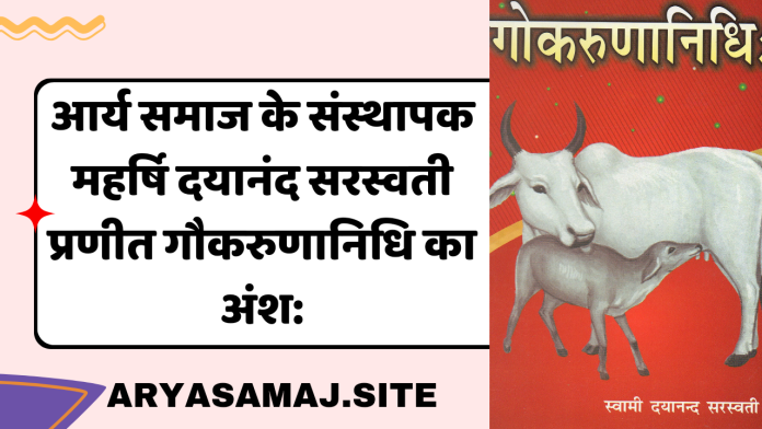 20240214_060524_0000