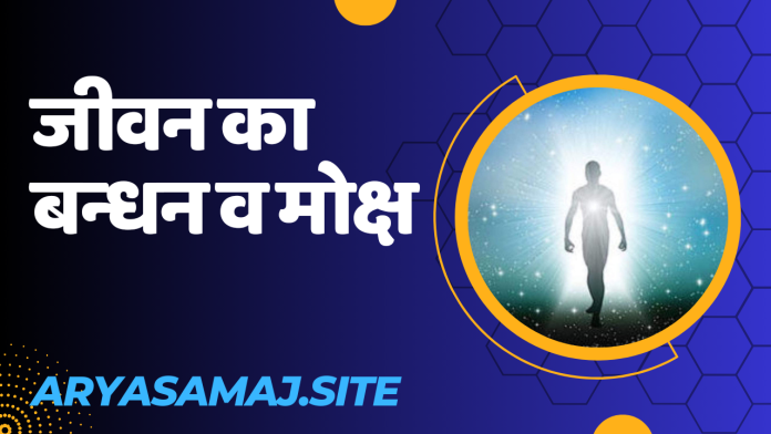 20240222_181827_0000