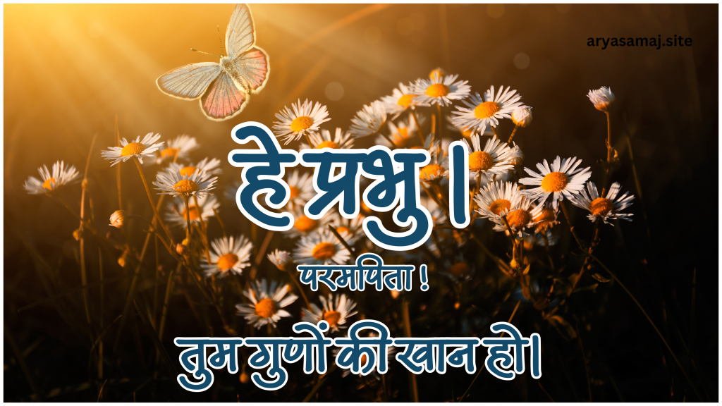 हे प्रभु । परमपिता ! तुम गुणों की खान हो।