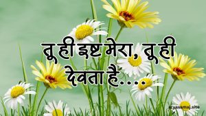 तू ही इष्ट मेरा, तू ही देवता है…