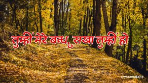 तुम्हीं मेरे बन्धु, सखा तुम्हीं हो