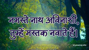 नमस्ते नाथ अविनाशी, तुम्हें मस्तक नवाते हैं।