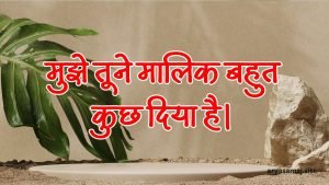 मुझे तूने मालिक बहुत कुछ दिया है। मुझे तूने मालिक बहुत कुछ दिया है।