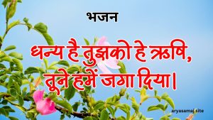 धन्य है तुझको हे ऋषि, तूने हमें जगा दिया।