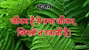 जीवन है ये क्या जीवन, जिसमें न रवानी है।