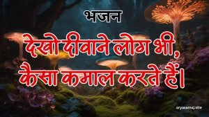 देखो दीवाने लोग भी, कैसा कमाल करते हैं।