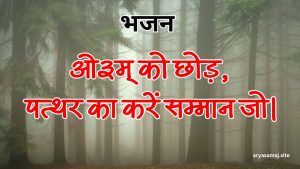 ओ३म् को छोड़,पत्थर का करें सम्मान जो।