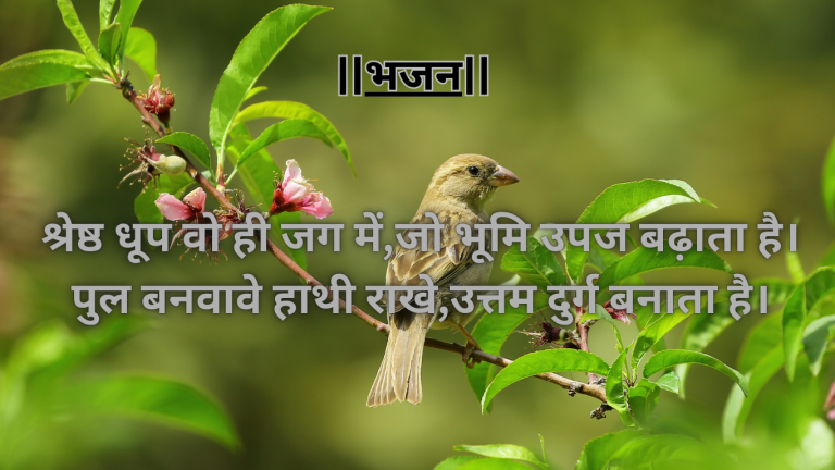 “श्रेष्ठ धूप वो ही जग में,जो भूमि उपज बढ़ाता है”