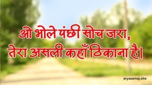 ओ भोले पंछी सोच जरा, तेरा असली कहाँ ठिकाना है।