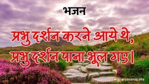 प्रभु दर्शन करने आये थे, प्रभु दर्शन पाना भूल गए।