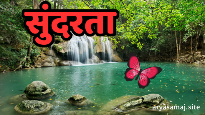 शीर्षकरहित डिज़ाइन_20250129_141348_0000