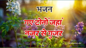 गए दोनों जहां नजर से गुजर