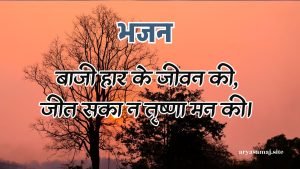 बाजी हार के जीवन की