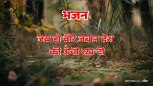 जय हो वीर जवान देश की ऊँची रख दी