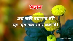 अय ऋषि दयानन्द तेरी