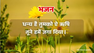 धन्य है तुमको ऐ ऋषि तूने हमें जगा दिया।