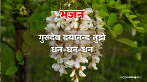 गुरुदेव दयानन्द तुझे धन-धन-धन