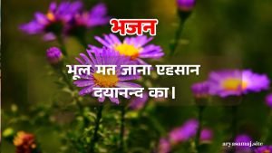 भूल मत जाना एहसान दयानन्द का।