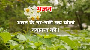 भारत के नर-नारी जय बोलो दयानन्द की।