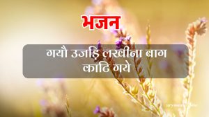 गयौ उजड़ि लखीना बाग काटि गये