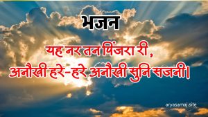 यह नर तन पिंजरा री