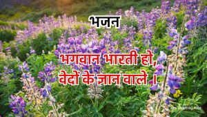 भगवान भारती हो