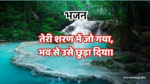 तेरी शरण में जो गया