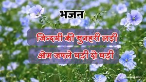 जिन्दगी की सुनहरी लड़ी