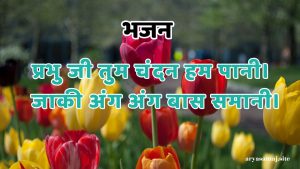 प्रभु जी तुम चंदन हम पानी।