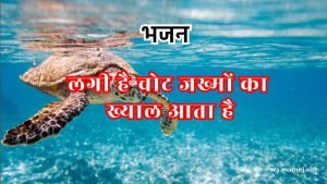 लगी है चोट जख्मों का ख्याल आता है