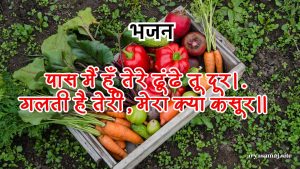 पास मैं हूँ तेरे ढूंढे तू दूर।