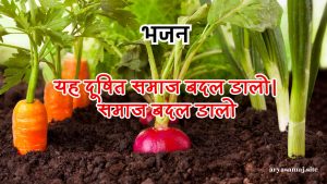 बनाने वाले आर्य बिगाड़ा सारी दुनियां ।।