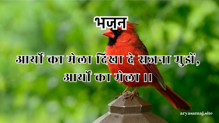 आर्यो का मेला दिखा दे सजना मुझें