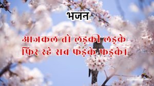 आजकल तो लड़की लड़के फिर रहे सब फड़के फड़के।