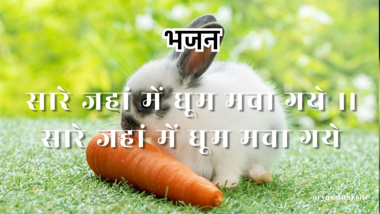 सारे जहां में धूम मचा गये ।।