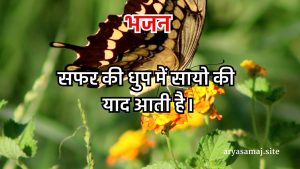 सफर की धुप में सायो की याद आती है।