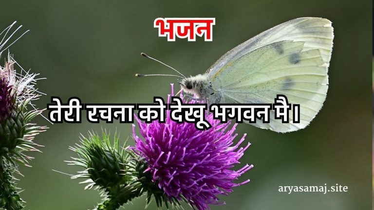 तेरी रचना को देखू भगवन मै।