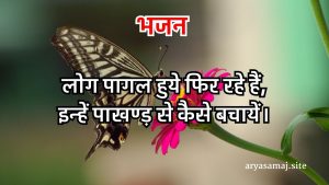 लोग पागल हुये फिर रहे हैं