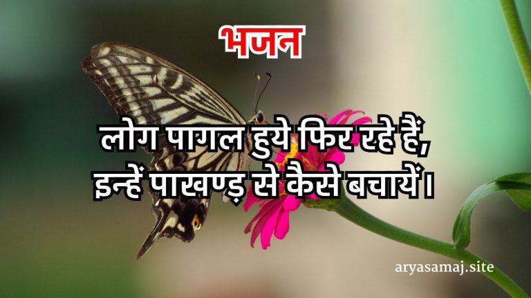 लोग पागल हुये फिर रहे हैं