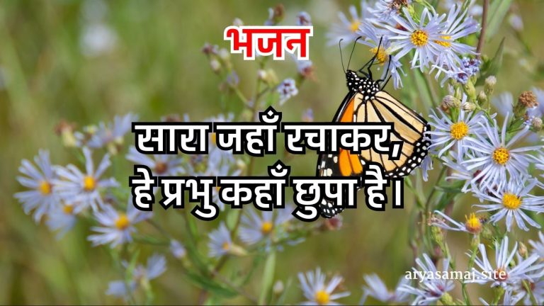 सारा जहाँ रचाकर,हे प्रभु कहाँ छुपा है।