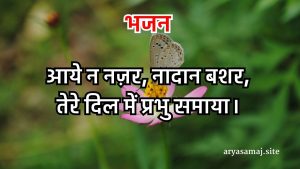 आये न नज़र, नादान बशर