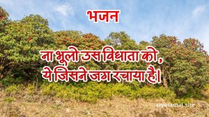 ना भूलो उस विधाता को