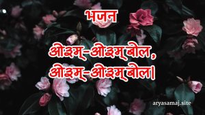 ओ३म्-ओ३म् बोल,ओ३म्-ओ३म् बोल।