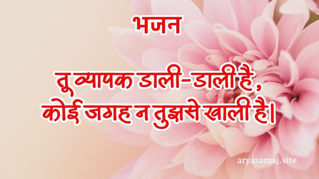 तू व्यापक डाली-डाली है