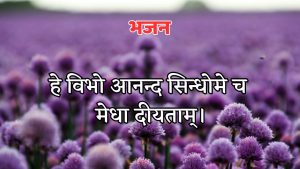 हे विभो आनन्द सिन्धोमे च मेधा दीयताम्।