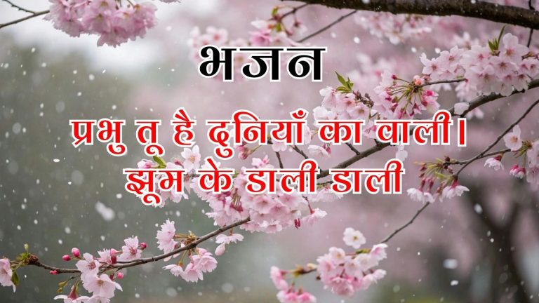 प्रभु तू है दुनियाँ का वाली।