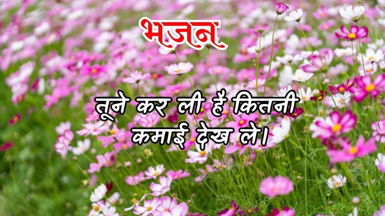 तूने कर ली है कितनी कमाई देख ले।