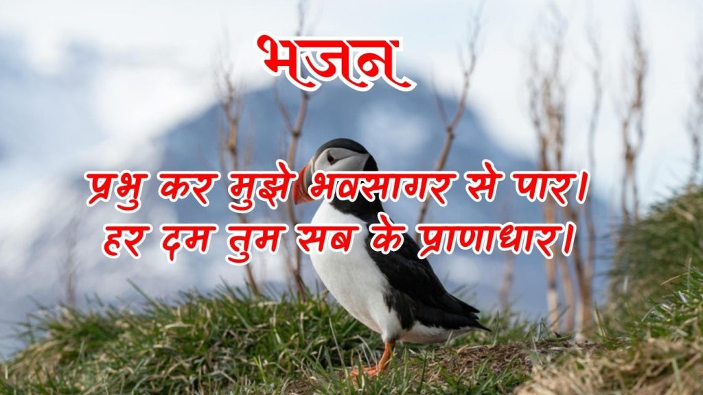 प्रभु कर मुझे भवसागर से पार।